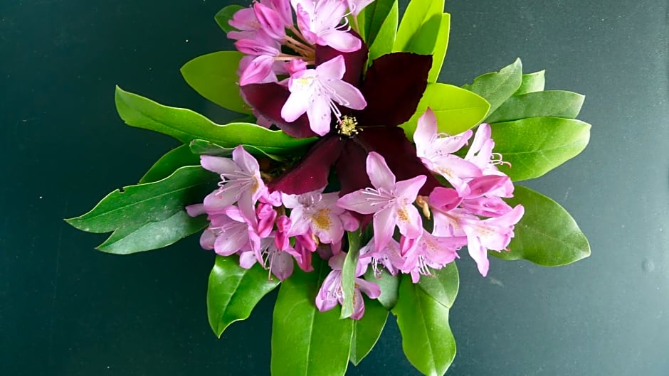 Chambres d'hôtes Le Saleix