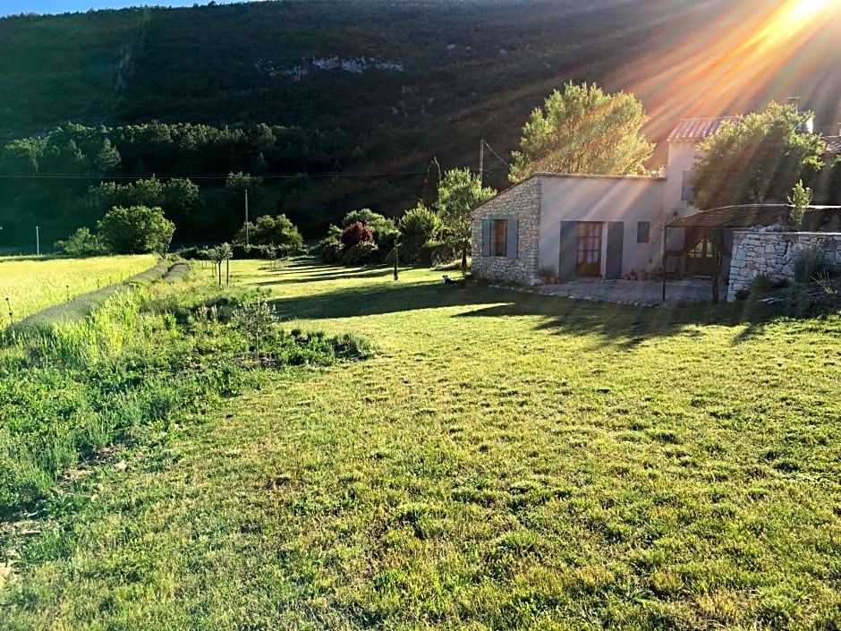 Le Jas du Mont Ventoux