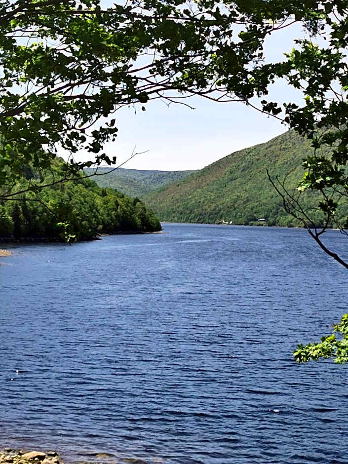 Knotty Pine Ocean Front Suite - Adults Only