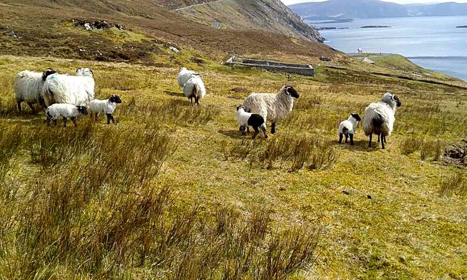 Achill West Coast House