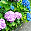 Yuraku Izu-Oshima - Vacation STAY 44742v