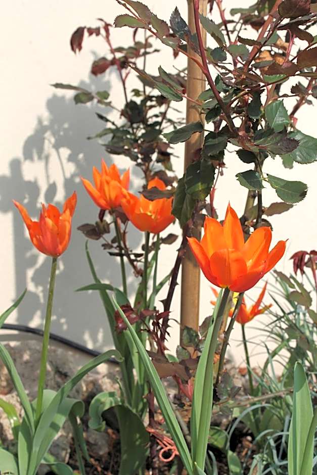 Bio Hotel Kipperquelle