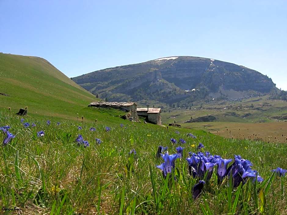 Hotel Passo Buole