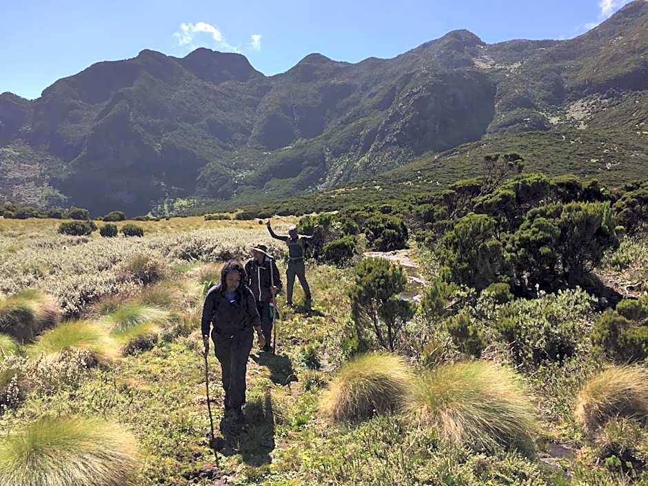 Bubbles Lodge Kinangop