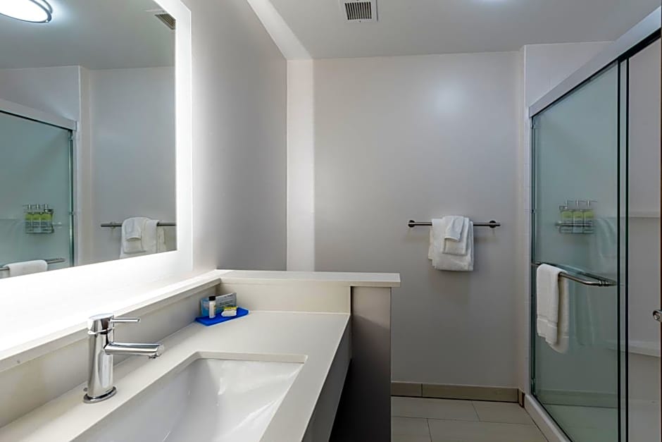 Holiday Inn Express and Suites Columbia Downtown- The Vista By IHG