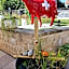 BnB "Les Coquelicots"