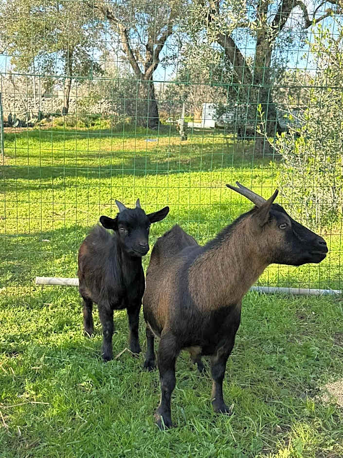 Agriturismo Tenuta Calitre