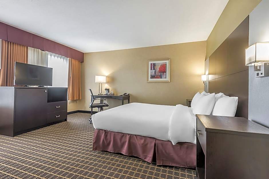 Quality Inn & Suites Windsor