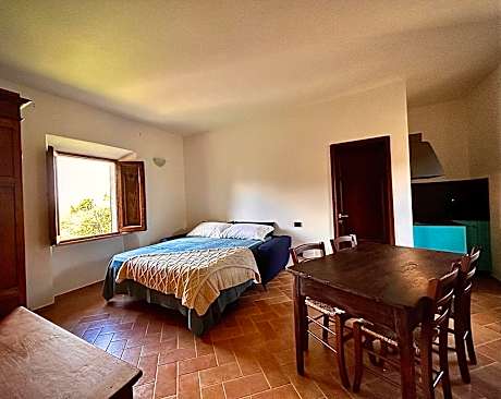 Studio with Sofa Bed