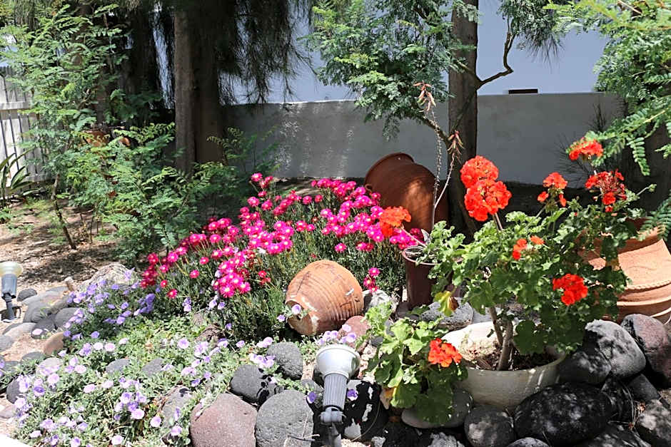 SPIROS & HIROKO Hotel - ADULTS ONLY