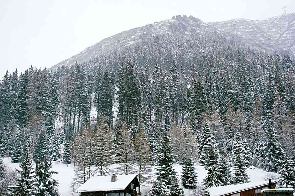 Hotel & Restaurant Zum Schwarzen Bären