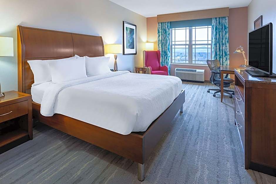 Hilton Garden Inn Roanoke