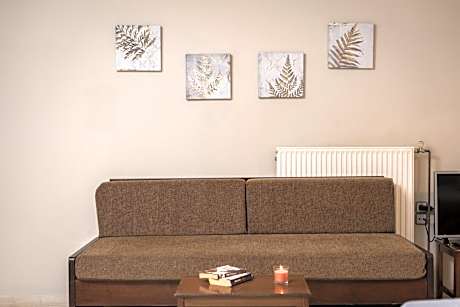 Comfort Studio