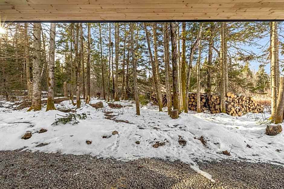 Initial / Solden / MSA