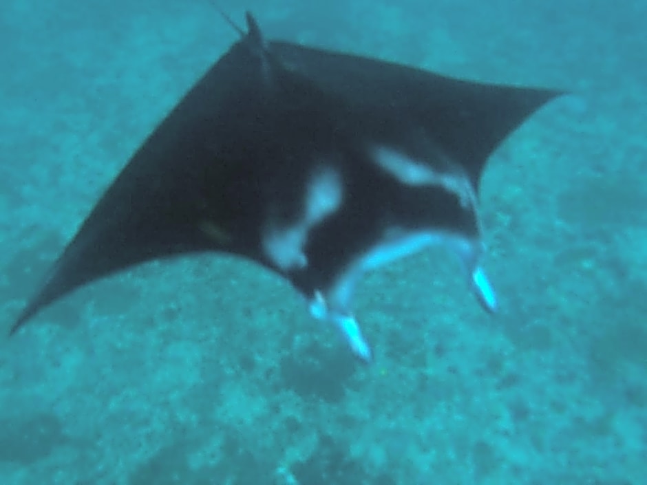 Kawans Inn Lembongan