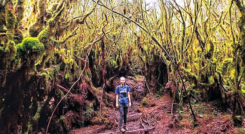 The Cocoon Capsule Hotel