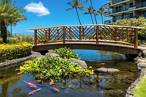 Aston At The Whaler On Kaanapali Beach