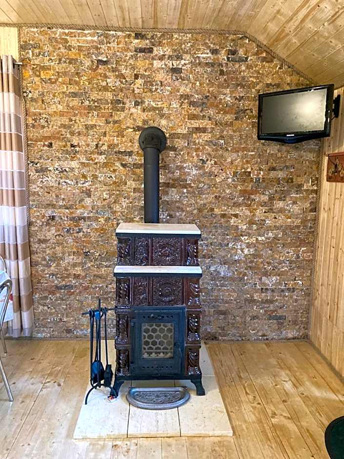 Cabana doi mesteceni