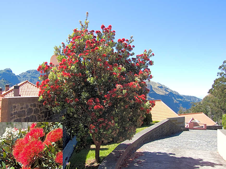 Valley View Hotel Encumeada