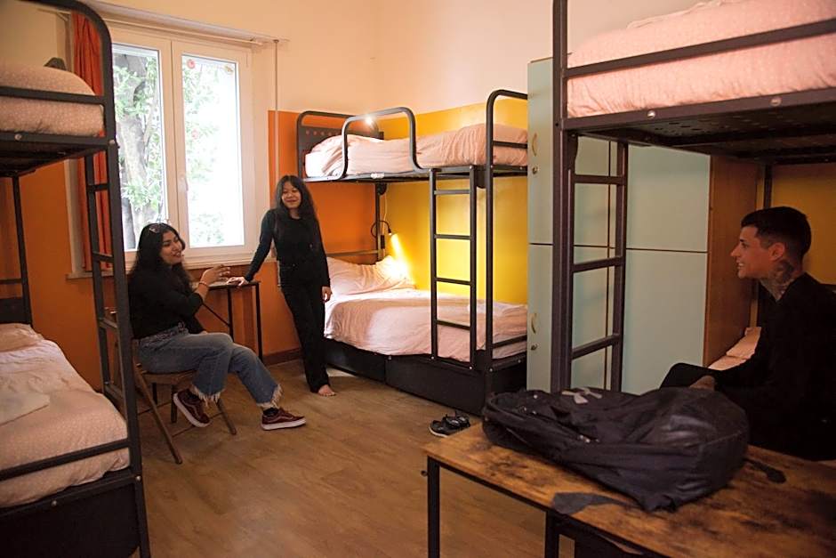 Sunflower City Student Hostel & Bar