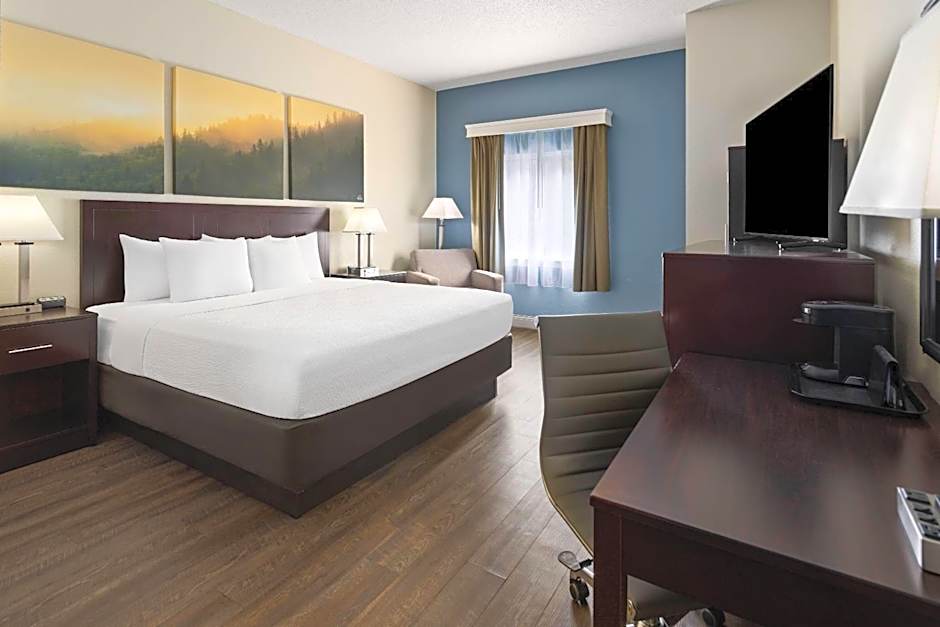 Photo 1 of 14 of 1 King Bed, Mobility Accessible, Roll in Shower