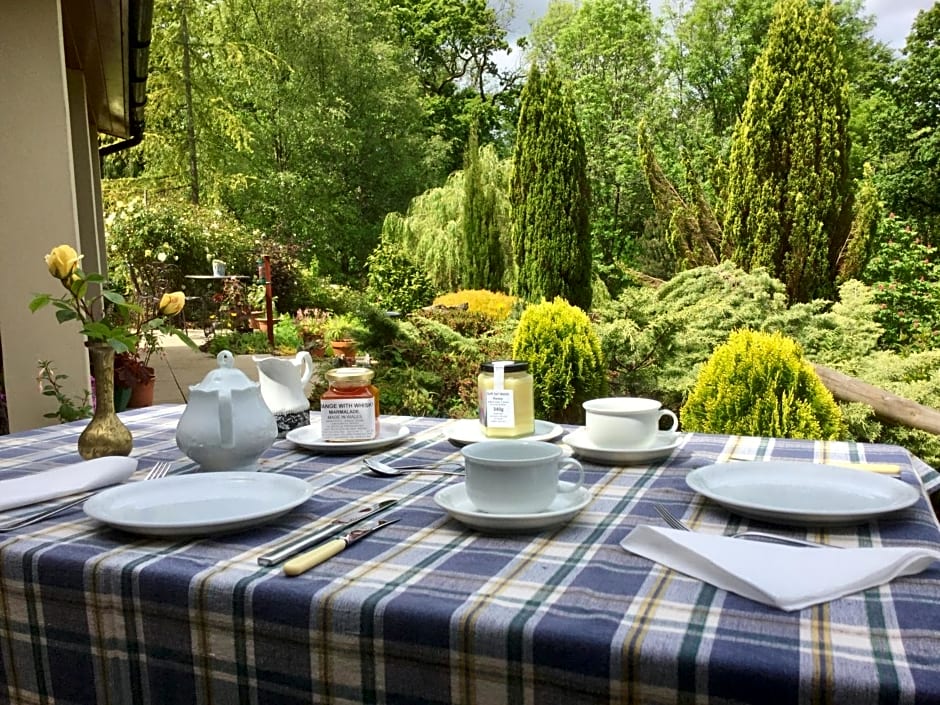 Dwynant - A Room with a View