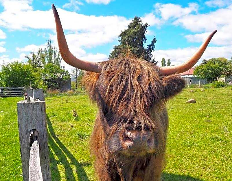 Ratho Farm