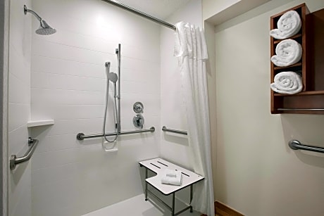 1King Mobility Accessible Bathtub Suite Nsmk