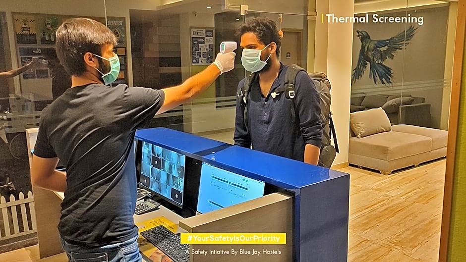 The Blue Jay Hostel - Dorms & Rooms Hotel