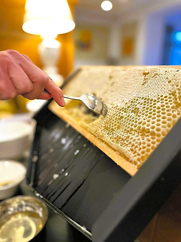 Simon - das Vitalhotel