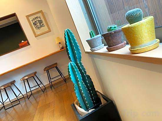 Cactus Inn