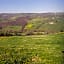 Fattoria Ca' di Fatino