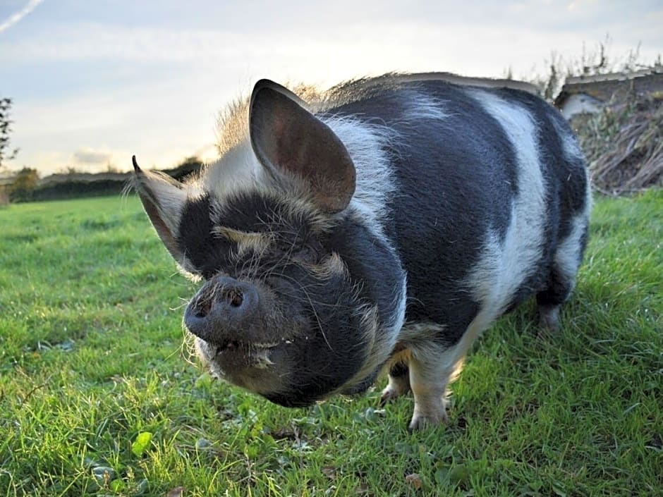 Lower Severalls Farmhouse