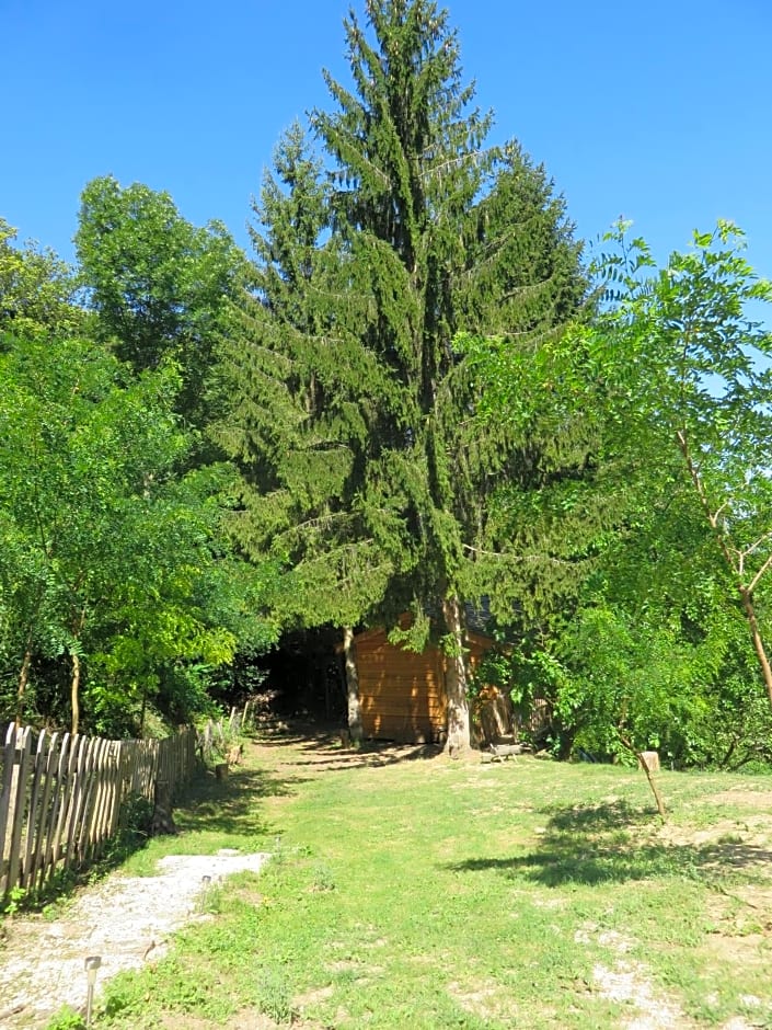 La Cabane aux Sapins