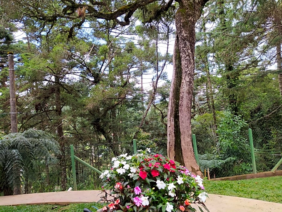 Pousada Alto dos Pinheiros