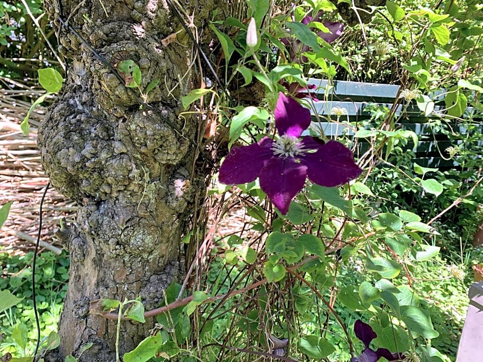 B&B De Vlasboerderij