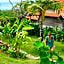 Green Bowl Beach Villas