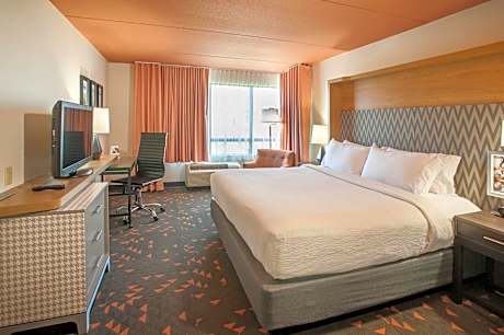 Standard King Room