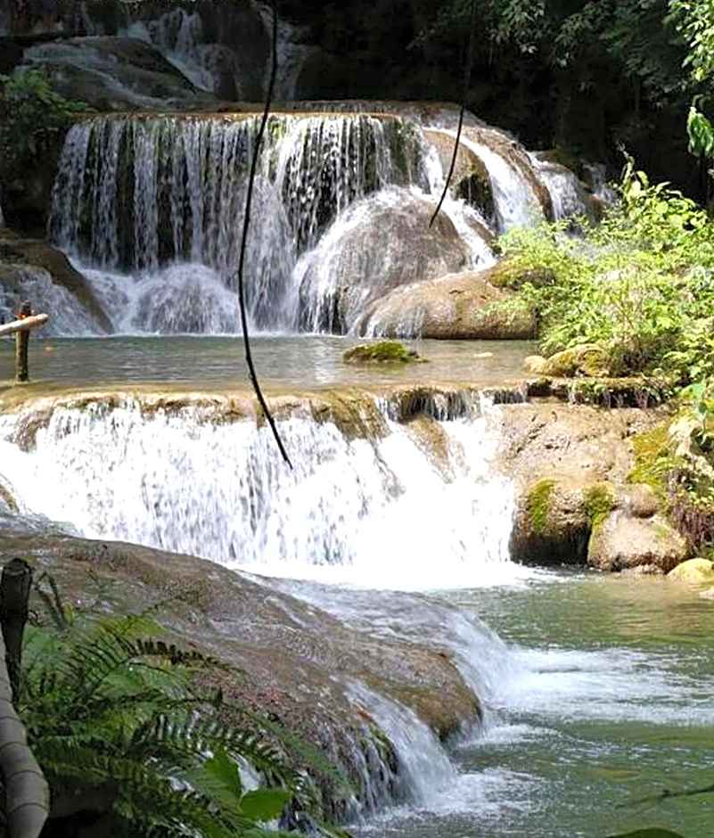 Reserva Ecologica Vive Copalitilla