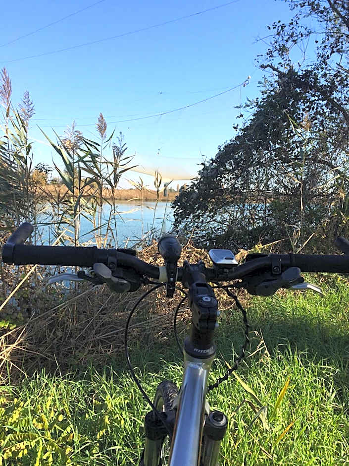 Hotel Picobello Pineta