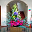 Hotel Boutique Casa Catrina