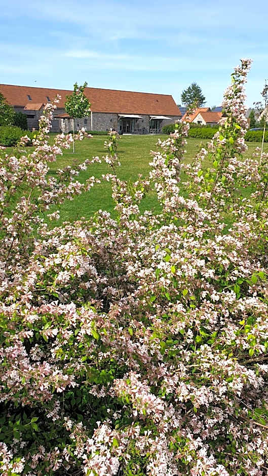 B&B 't Meesterhof