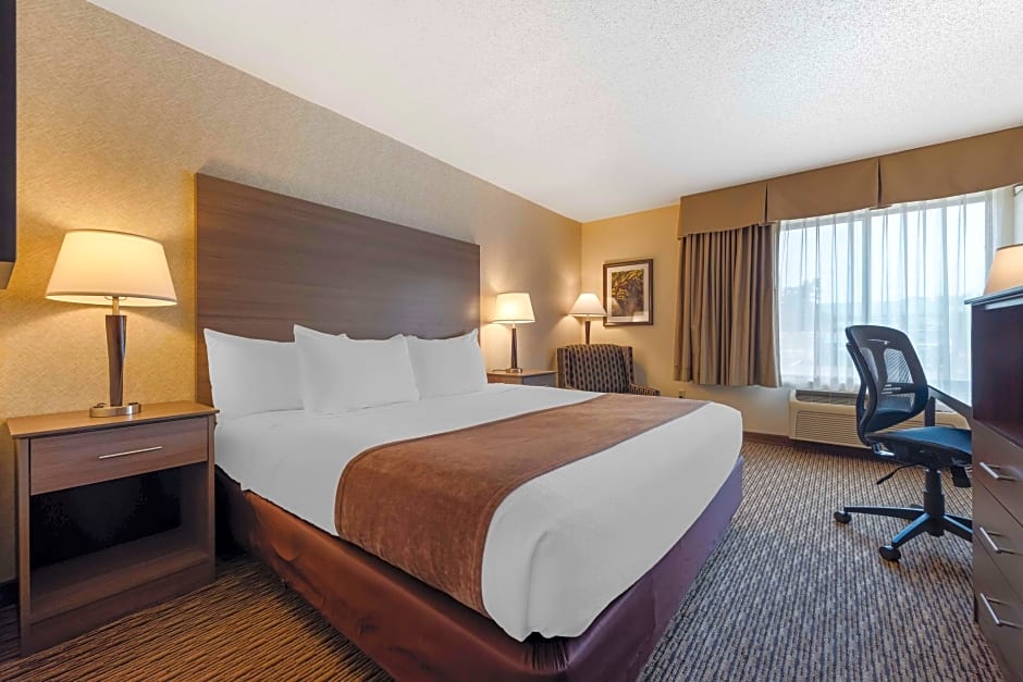 Photo 1 of 4 of 1 King Bed, Mobility Accessible, Bathtub, Pet-Friendly