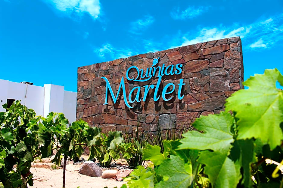 Quintas Marlet en la ruta del vino