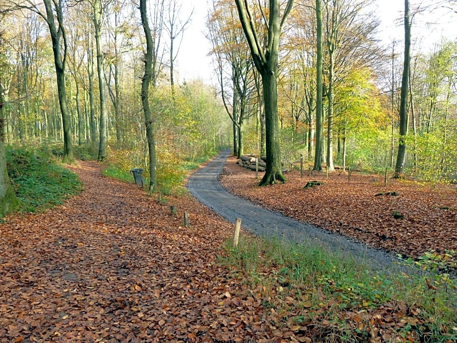Entre monts et collines B&B et spa en option