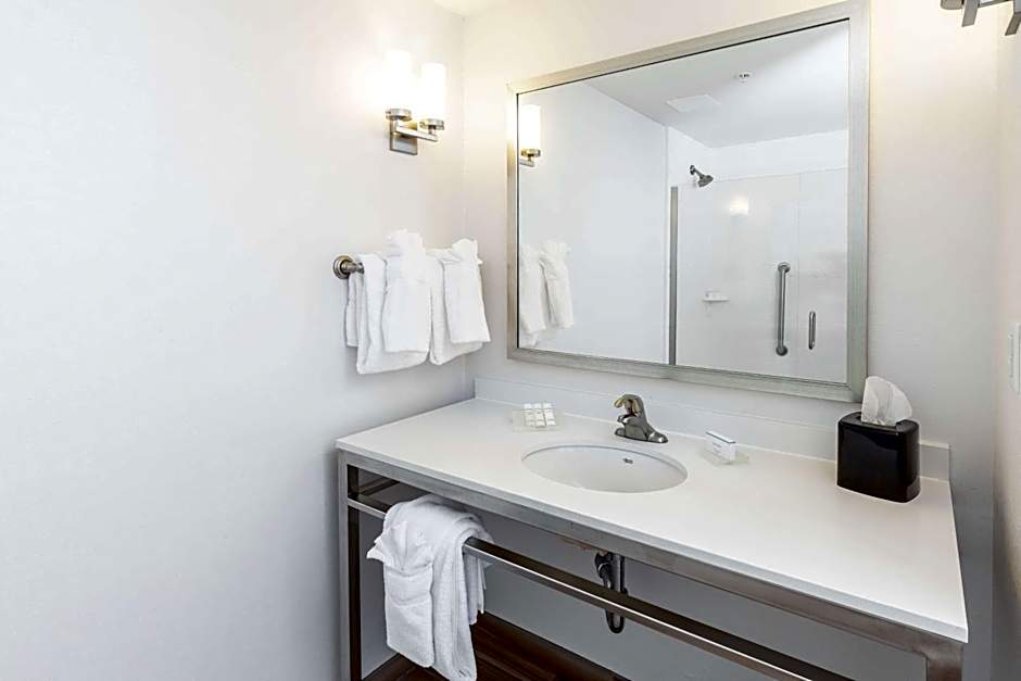 Hilton Garden Inn Asheville Downtown