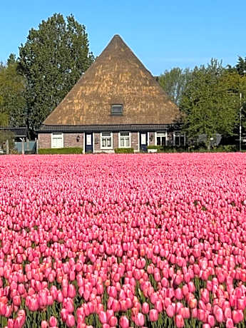 B&B Idylle aan Zee incl 2 Wellnessstudios