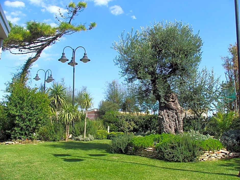 Hotel Bellevue Beach - sul mare