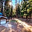 Escape to The Cabin, 1GB Fiber Ultrafast Wifi!
