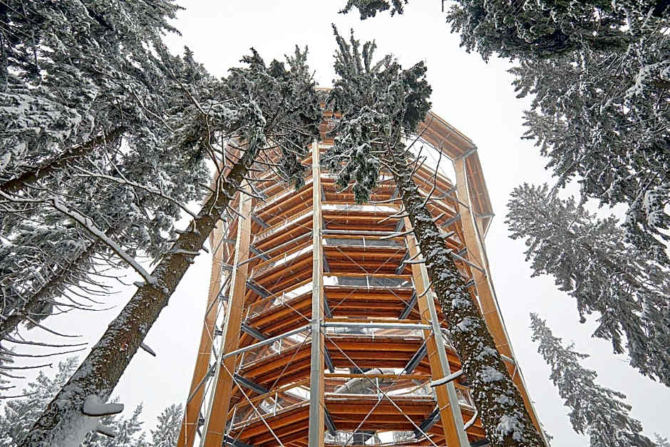 Ski Hotel Svoboda nad Úpou